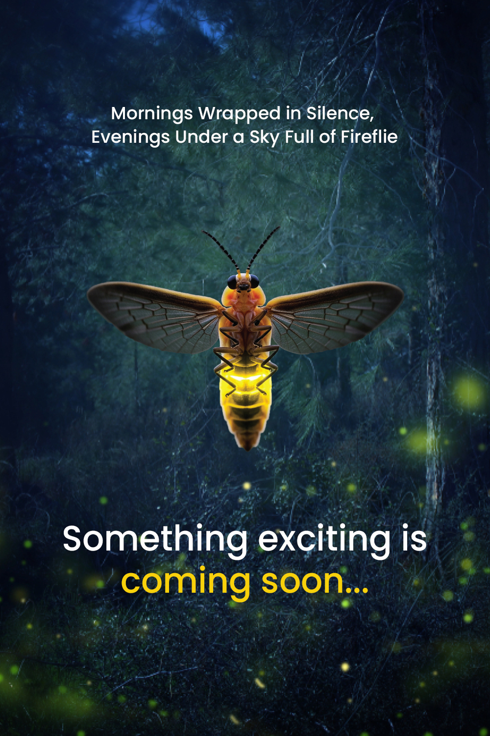 Fireflies Igatpuri